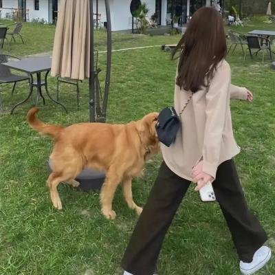不可征服